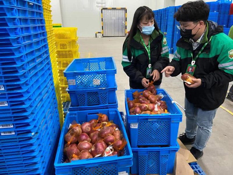 蔬菜生鮮使用塑料周轉筐